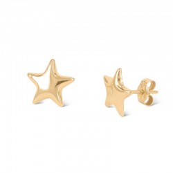 Plain star earrings