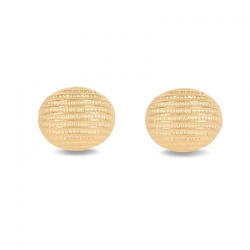 Striped oval earrings