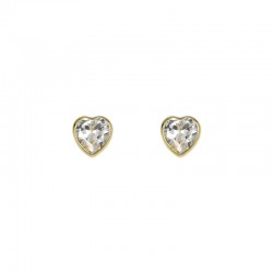 Bizel heart earrings with zirconia